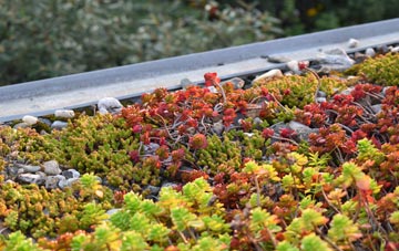 the cost of Arduaine green roof installation