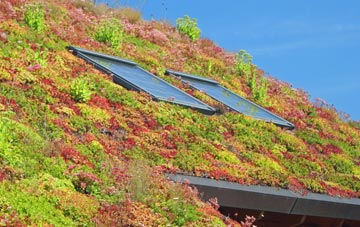 Arduaine living roof systems