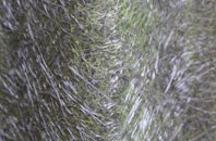 Arduaine fibreglass roof work